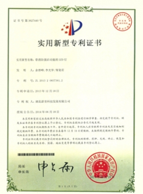 帶強(qiáng)啟功能的LED燈0837361.2.jpg